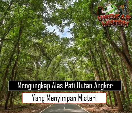Mengungkap Alas Pati Hutan Angker yang Menyimpan Misteri