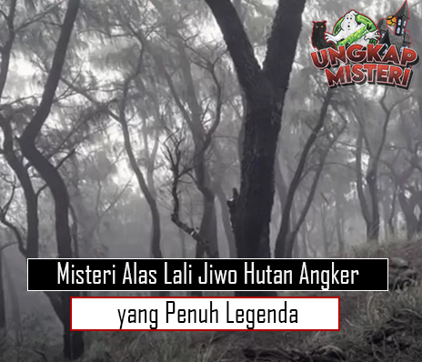 Misteri Alas Lali Jiwo Hutan Angker yang Penuh Legenda