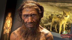 Asal-Usul dan Evolusi Homo floresiensis