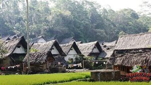 Kehidupan Sehari-hari di Bawah Bayang-Bayang Kutukan
