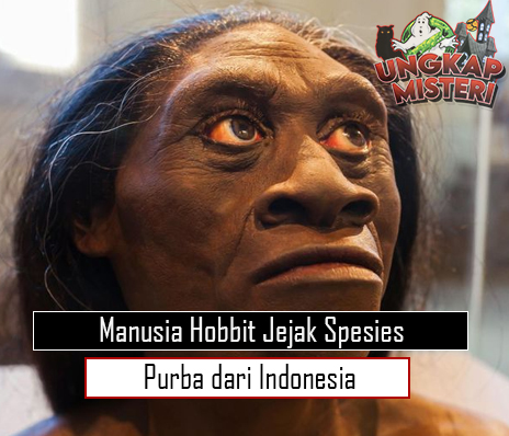 Manusia Hobbit Jejak Spesies Purba dari Indonesia