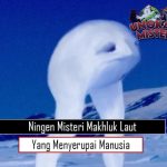 Ningen: Misteri Makhluk Laut yang Menyerupai Manusia