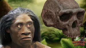 Signifikansi Penemuan Homo floresiensis