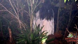 Dampak Parakang terhadap Masyarakat Sulawesi