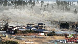 Jalannya Tsunami