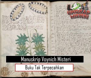 Manuskrip Voynich Misteri Buku Tak Terpecahkan