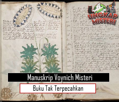 Manuskrip Voynich Misteri Buku Tak Terpecahkan