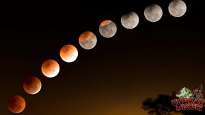 Mitos Gerhana Bulan dari Berbagai Belahan Dunia