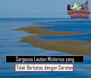 Sargasso Lautan Misterius yang Tidak Berbatas dengan Daratan