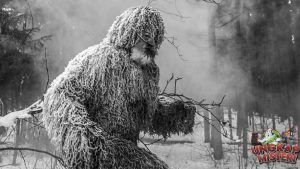 Teori Ilmiah di Balik Fenomena The Big Grey Man
