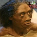 Bayangan di Hutan: Menjelajahi Dunia Misterius Suku Mante!