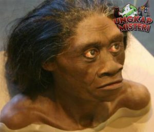 Bayangan di Hutan: Menjelajahi Dunia Misterius Suku Mante!
