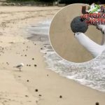 Fenomena Aneh: Ribuan Bola Hitam Muncul di Pantai Australia!