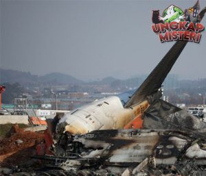 Kecelakaan Pesawat Jeju Air bagi Keselamatan Penerbangan!