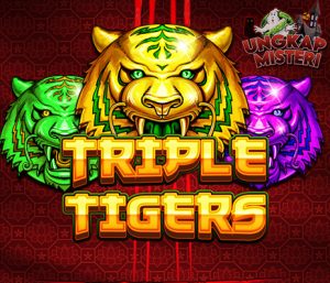 Triple Tigers: Slot Gacor yang Siap Menerkam Kemenangan Besar!