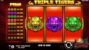 Triple Tigers: Slot Gacor yang Siap Menerkam Kemenangan Besar!