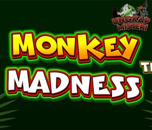 Monkey Madness: Ketika Monyet Jadi Mesin Slot Penghasil Cuan!