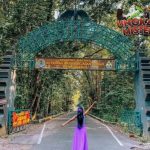 Alas Purwo: Hutan Jawa yang Penuh Misteri dan Keajaiban Alam!