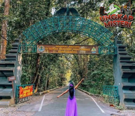 Alas Purwo: Hutan Jawa yang Penuh Misteri dan Keajaiban Alam!