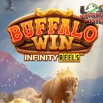 Slot Buffalo Win Makin Beringas Pakai Ruby8000 Link Alternatif