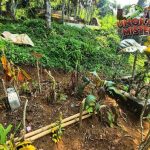 Bocah Sukabumi Tewas Tubuh Penuh Cacing Jadi Misteri