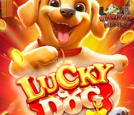 Lucky Dog Rahasia Alternatif RTP8000 Menguntungkan