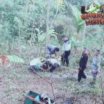Kisah Kakek Pemotor yang Jatuh ke Jurang 3 Meter di Imogiri