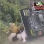 3 Detik Blunder Emak Emak Terguling Bareng Pikap