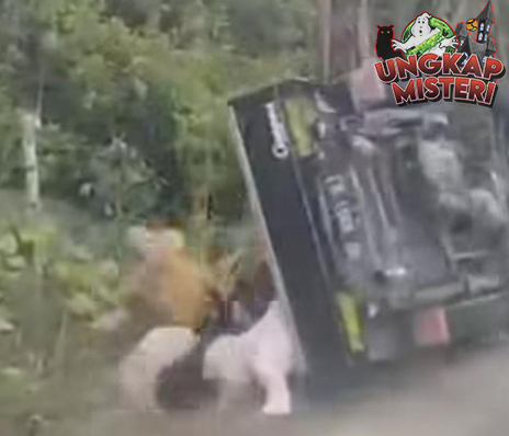 3 Detik Blunder Emak Emak Terguling Bareng Pikap