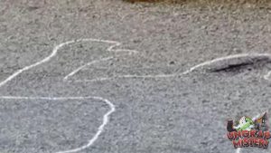 Sopir Trans Jogja Diamankan Usai Tabrak Pejalan KakiSopir Trans Jogja Diamankan Usai Tabrak Pejalan Kaki