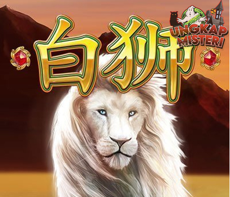 Bai Shi Dimensi Baru Link Cnnslot Keajaiban Unik