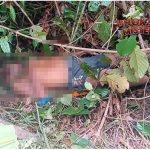 Mayat Pria Ditemukan di Kebun Kopi Musi Rawas