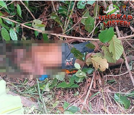Mayat Pria Ditemukan di Kebun Kopi Musi Rawas