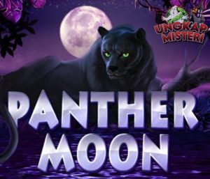 Panther Moon Login Cnnslot 15 di Bayangan