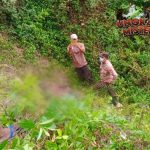 Mayat di Jurang Tanggamus Polisi Buru Petunjuk!