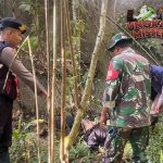 Jembatan Tukad Bangkung Luka di Balik Keindahan