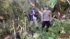 Jembatan Tukad Bangkung Luka di Balik Keindahan