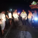 Diduga Tabrak Lari, 4 Orang Sekeluarga Tewas