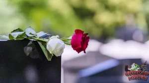 Koma 7 Hari Usai Kecelakaan, Ojol Tinggalin Penumpang!