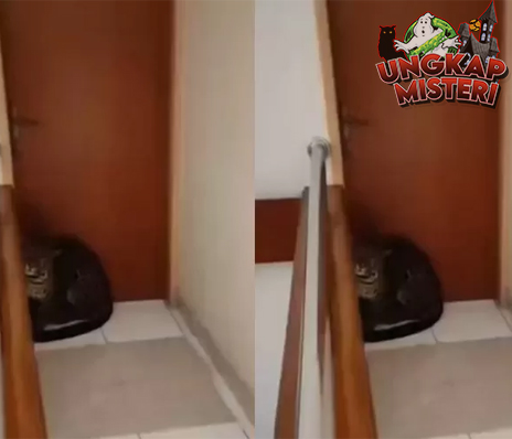 Macan Tutul Nyasar ke Hotel, Jabar Heboh Pagi Ini