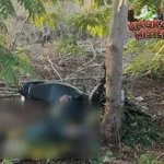Tragedi Ojol Kupang Tabrak Pohon, Satu Tewas