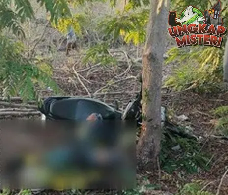 Tragedi Ojol Kupang Tabrak Pohon, Satu Tewas
