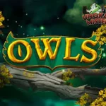 RTP 8000 Alasan Utama Main Game Owls