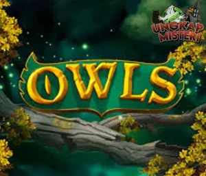 RTP 8000 Alasan Utama Main Game Owls