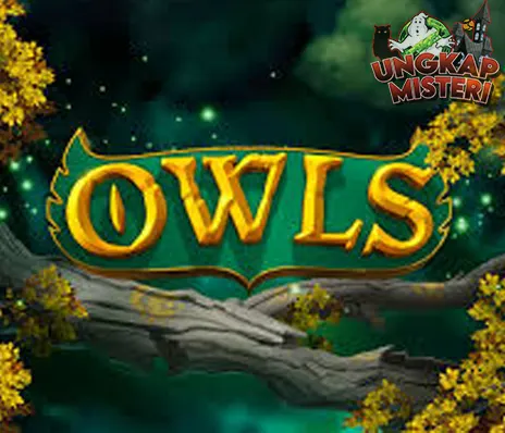 RTP 8000 Alasan Utama Main Game Owls