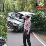 5 Turis China Tewas di Bali Saat Lihat Lumba-lumba