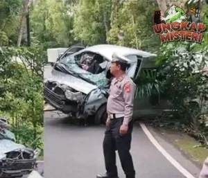 5 Turis China Tewas di Bali Saat Lihat Lumba-lumba