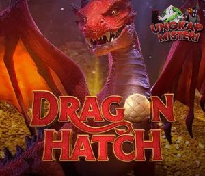 Dragon Hatch Naga Golek Duit, Kowe Melu Panen!