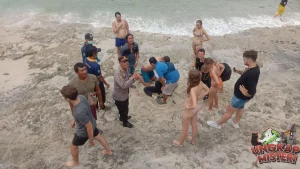 5 Turis China Tewas di Bali Saat Lihat Lumba-lumba