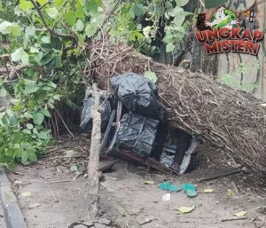 2 Korban Tertimpa Pohon Tumbang di Monjali Sleman